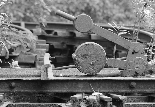  dsc7647 20150519 2067143570