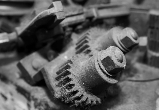 img 7419 20150602 1905546095