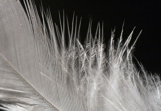 x drucken p1040547 20151117 1150865540