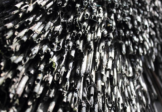  mg 6674 20150602 1097890242