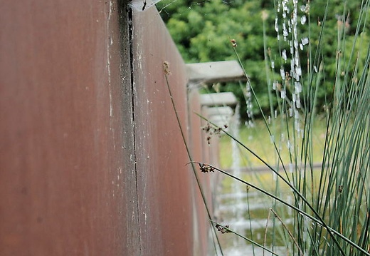  mg 7901 20150715 1880384377