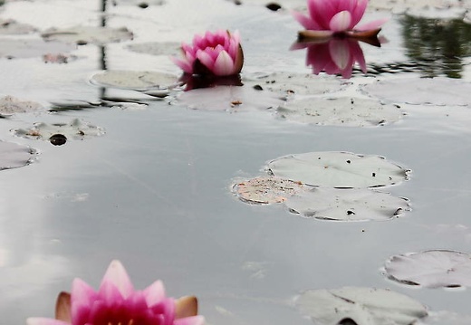  mg 7913 20150621 1826320436