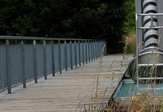  mg 7931 20150621 1399943721