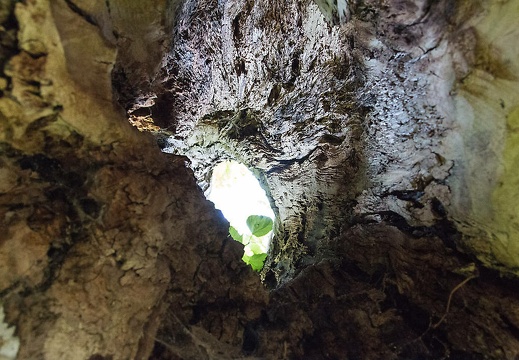 150726-100831-007 20150818 1028356741