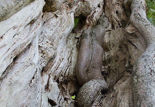 150726-111511-035 20150818 1655597221