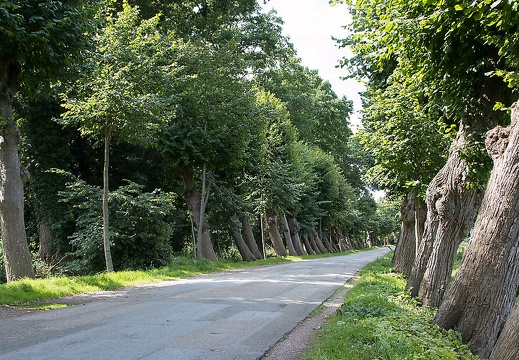 150726-111954-038 20150818 1146420546