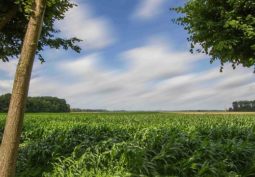  mg 0132 20150904 1375818350