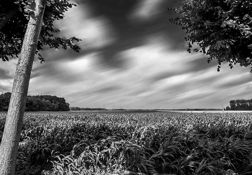  mg 0132a 20150904 1623503051