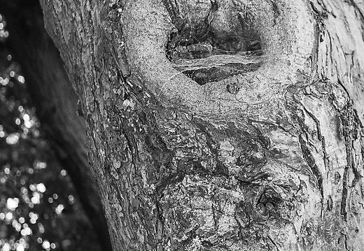  mg 0137 20150904 1802216250