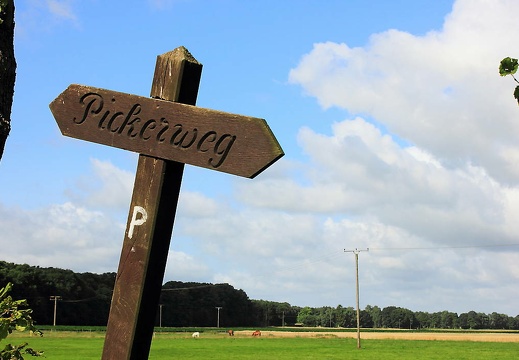  mg 7949 20150819 1707655063