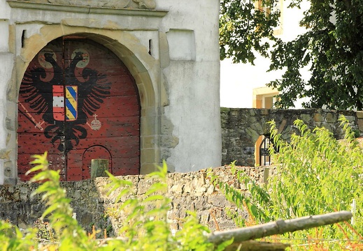  mg 7957 20150819 1666035574