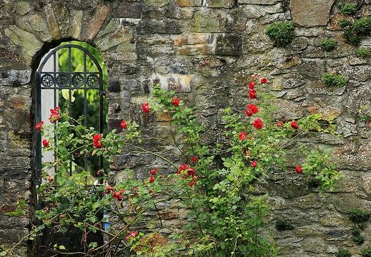  mg 7959 20150819 1732131394