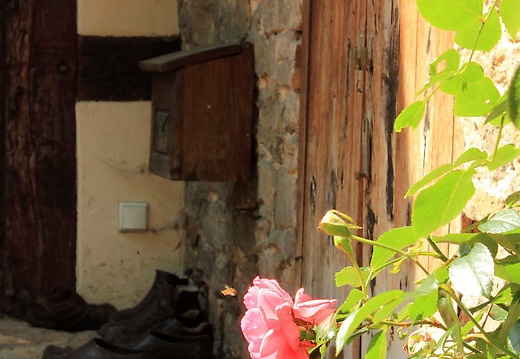  mg 7975 20150819 1695678101