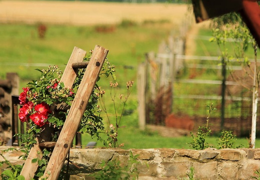  mg 7992 20150819 1235022982