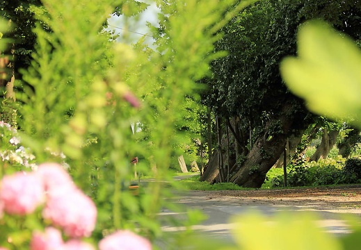  mg 7993 20150819 1667060012