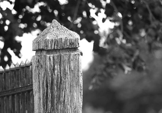 bramsche barenau juli 2015-030 20151206 1727432901