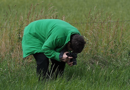 bramsche barenau juli 2015-143 20151206 1917765687