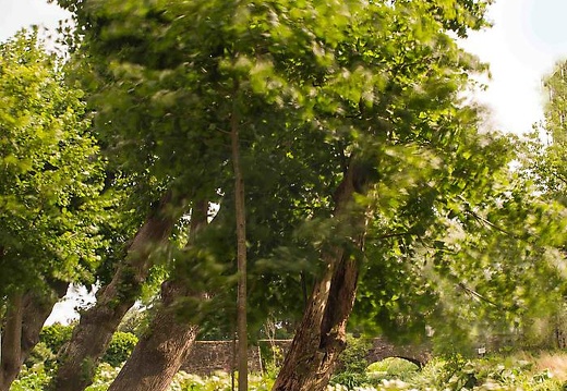 digi cam 518 20150904 1549799828