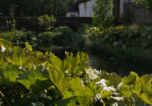 dsc 0060 20150906 1918228519