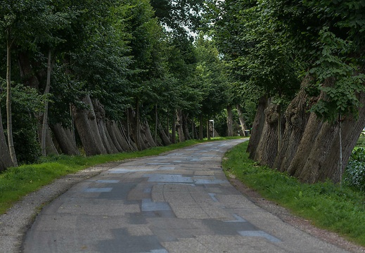 dsc 0101 20150906 1216072116