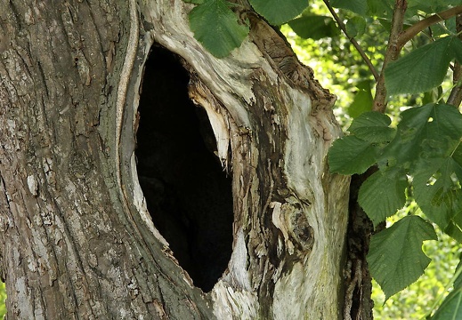 img 0893 20150830 1520589215