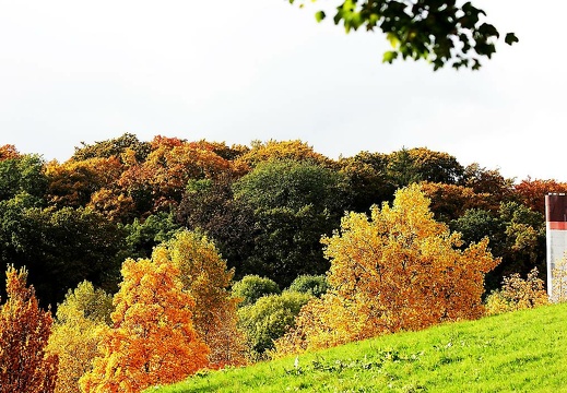  mg 0005 20151123 1465464725