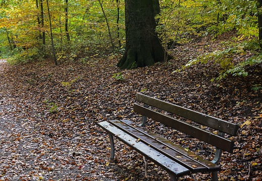 dsc 2217 2 20151206 1781757795