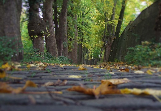 dscf8047 2 20151212 1375503062