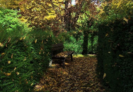 dscf8068 2 20151212 1058452587