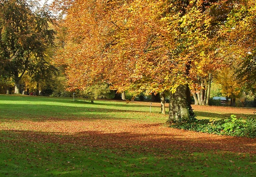 dscf8102 20151212 1863549328