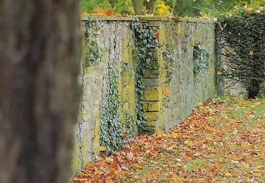 herbstfarben osnabrueck pkt 2015-062 20160307 1281306732