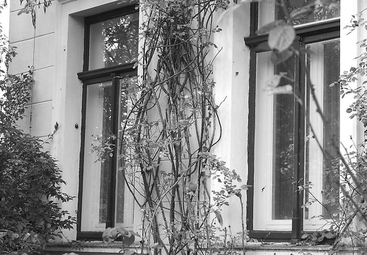 herbstfarben osnabrueck pkt 2015-093 20160307 1316915043