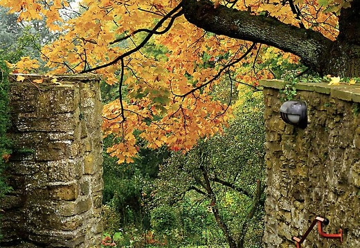 img 1270 20151212 1467329113