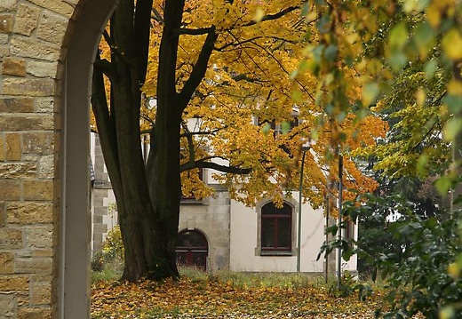 img 3608 20151115 1066908867