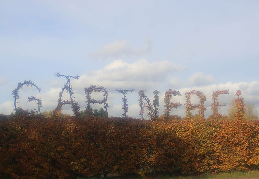 img 5631 20151215 2088095412