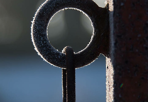 170122-112342-012 20170216 1835098303