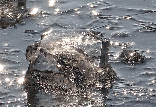 annette 02 20170218 1378492004