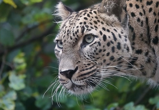 171022 Allwetterzoo Münster