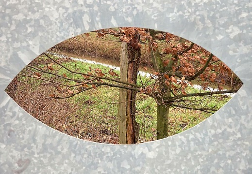 dsc03359 20180219 1762125195