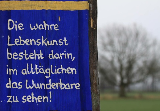 img 5652 20180214 1594466908