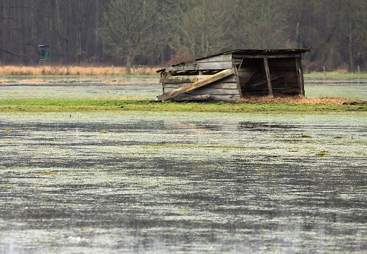 img 5681 kopie1 20180214 1211206559