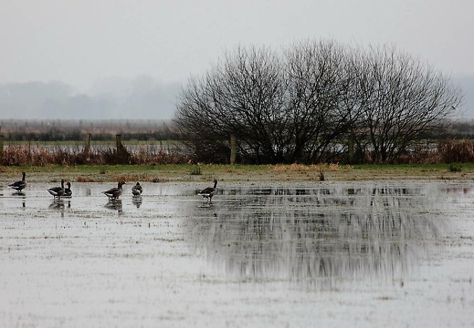 img 6798 20180224 1748644938