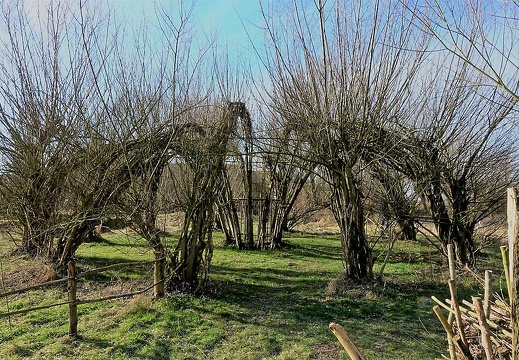 dsc03418 20180321 1141066796