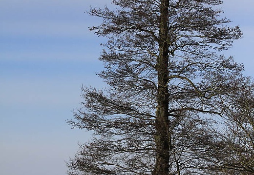 img 5769 20180318 1811543540