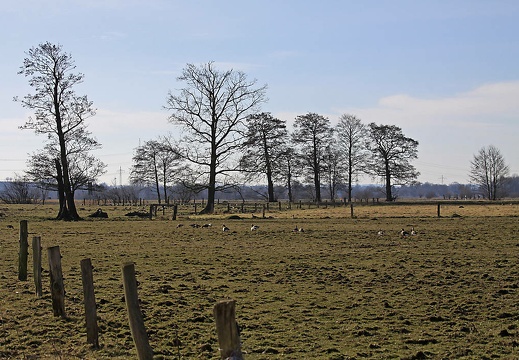 img 5778 kopie 20180318 1456803354