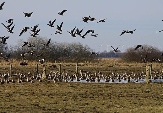 img 5787 kopie 20180318 1454944623