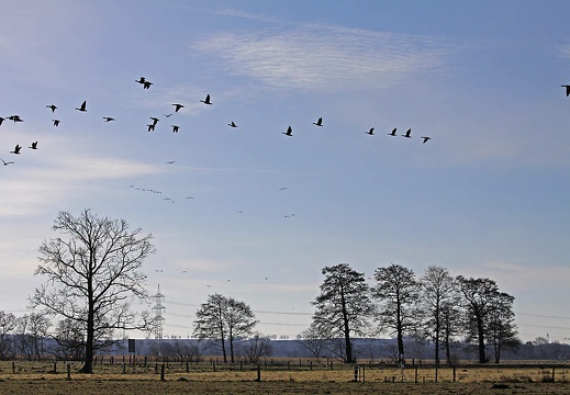 img 5794 kopie 20180318 1311155370