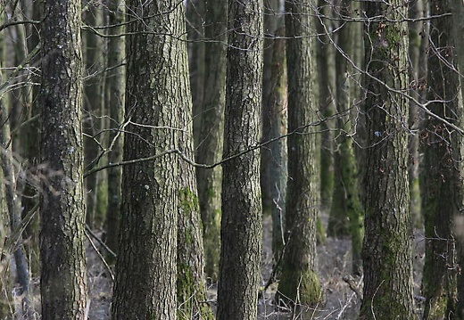 img 5849 20180318 1249982758