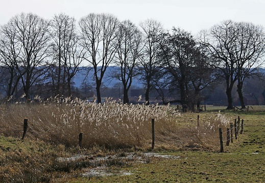 img 5889 kopie 20180318 1444050188