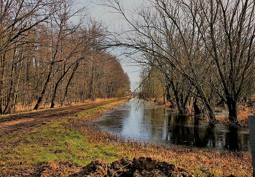 img 6362 20180321 1311100842